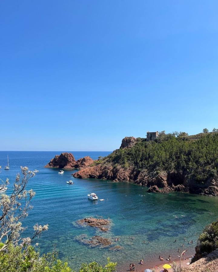 Avec Vue Et Piscine Appartement Théoule-sur-Mer
